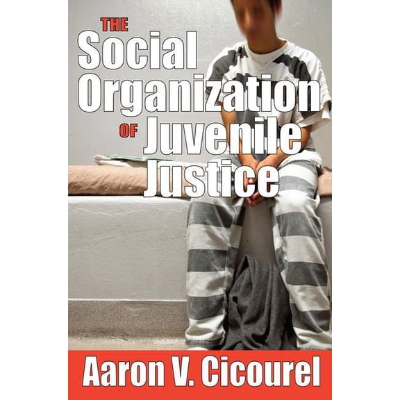 The Social Organization of Juvenile Justice, (Paperback)