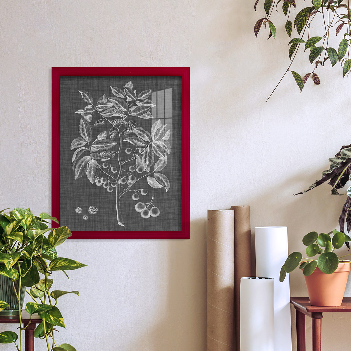 Graphic Foliage VI - Framed Print w/glass - Cherry Red