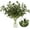 18inch - 5pcs, variant on 5Pcs Olive Branches for Vases, Faux Olive Tree Branches with Lifelike Olives, Artificial Greenery Stems for Vases Centerpieces Floral Arrangements Decor, 18 Inch