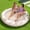 Champagne, variant on Inflatable Tanning Pool Lounger Float, 72" x 56" Pool Floats Adult with Pillow, 4 in 1 Round Suntan Tub Raft Floatie,Sunbathing Bed Lounge for Water Blow Up Ball Pit Party Gifts, Cyan