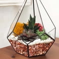 thumbnail image 5 of SMKE Succulent Decor Rocks,Gemstone Embellishments,Polished Stone Beads,Reiki Crystal Chips,100g Natural Polished River Stones - Red,Small Gravel for Potted Plants Bonsai Terrarium Decor, 5 of 6