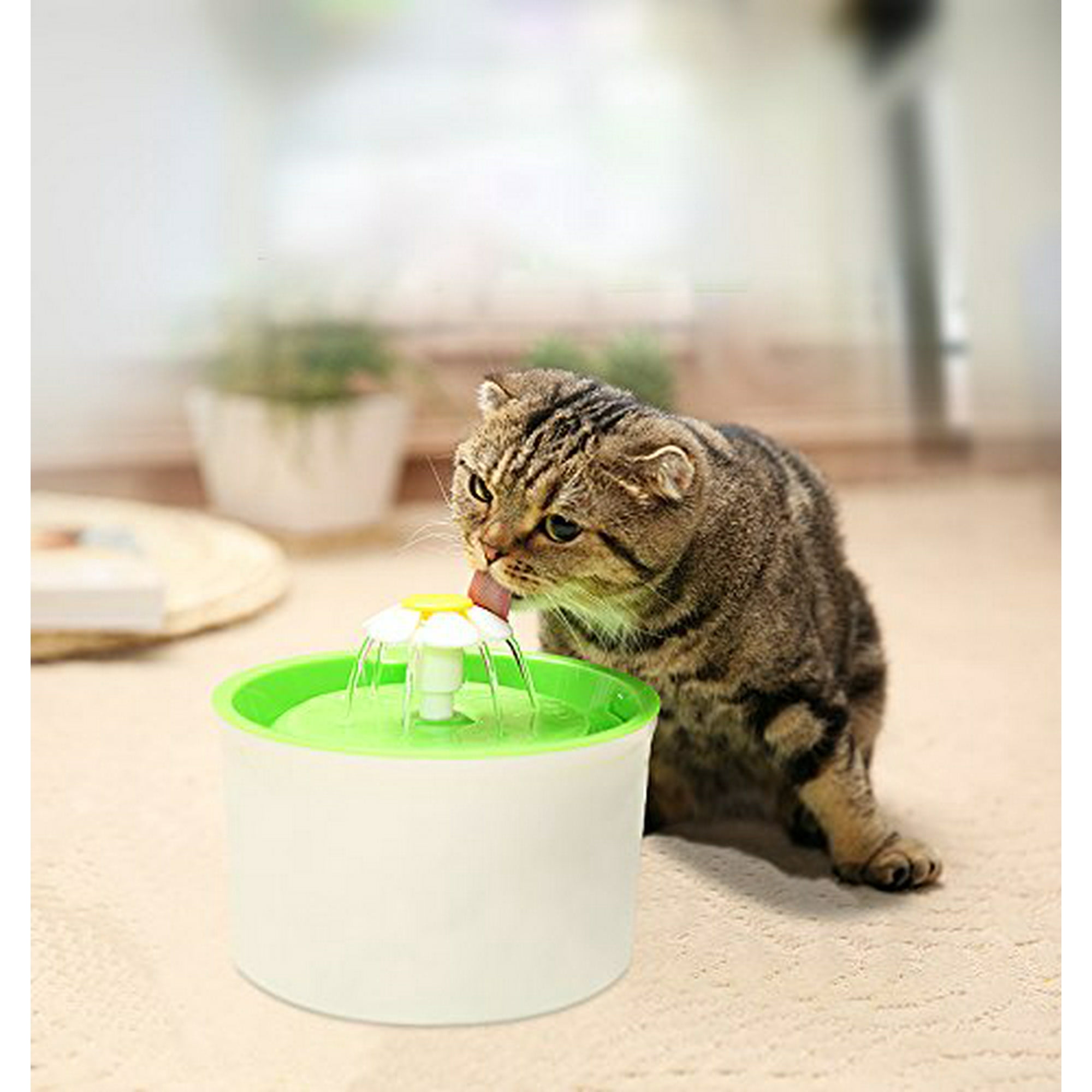 Dog and cat water fountain online