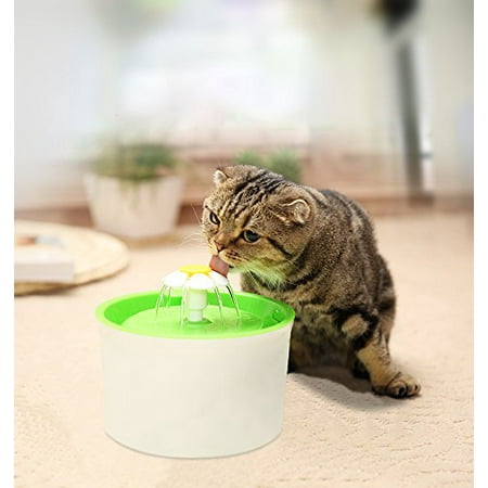 Greensen Filtre Potable Potable D Eau De Chat De Chien De Chat Electrique Electrique De Fontaine Automatique Vert Avec La Prise Des Usa Fontaine De Filtre D Animal Familier Fontaine D Eau Potable Walmart Greensen Filtre Potable Potable D Eau De Chat De Chien De Chat Electrique Electrique De Fontaine Automatique Vert Avec La Prise Des Usa Fontaine De Filtre D Animal Familier Fontaine D Eau Potable Walmart