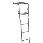 Guide Gear Climbing Ladder Tree Stand with Mesh Seat, Climbing Equipment for Deer Hunting, 15