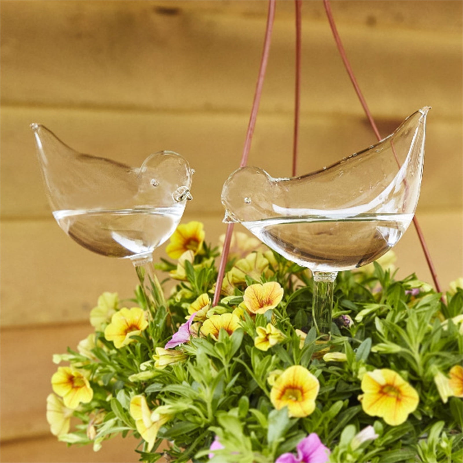 Chmadoxn Watering Can Self-Watering Plant Glass Bulbs Transparent watering device