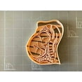 thumbnail image 4 of Pregnant womb fetus anatomy Cookie Cutter- Fast Shipping - Sharp Edges - Exceptional Quality, 4 of 5