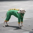 thumbnail image 4 of HQREA Italian Greyhound Whippet Fleece Dinosaur Costume Onesie Turtleneck Outfit Coat, 4 of 6