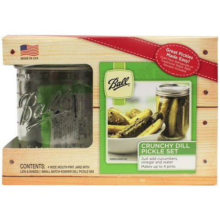 Ball Pickle Starter Kit