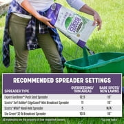 Pennington Smart Seed Dense Shade Grass Seed Mix. 3 lb.