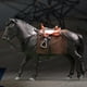 thumbnail image 1 of Figura de Caballo a Escala 1/12, Coleccionable, Figuras de Caballos en Miniatura para Figura de 6 Pulgadas, Escena en Miniatura, Accesorios Diorama Negro, 1 of 8
