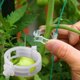 thumbnail image 5 of Clips de plástico para soporte de plantas50x/bolsavid colganteconecta protección de plantas Ndcxsfigh Nuevos Originales, 5 of 8