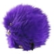 thumbnail image 4 of Peluche The Noble Collection Harry Potter Pygmy Puff Purple, 4 of 5
