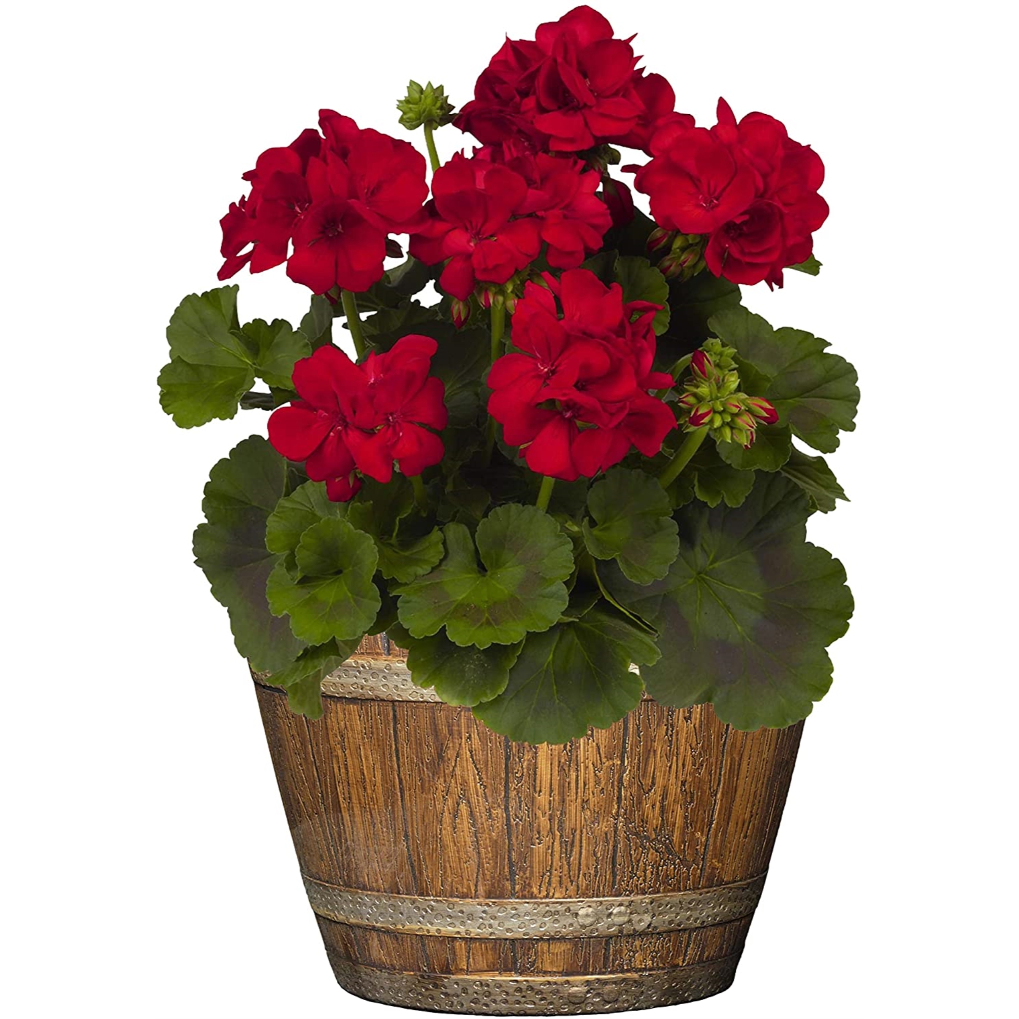 Classic Home and Garden Indoor/Outdoor Round Whiskey Resin Flower Pot ...