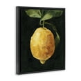 thumbnail image 3 of Stupell Industries Abstract Lemon on Vine Food & Beverage Painting Black Floater Framed Canvas Art Print Wall Art, 25 x 31, 3 of 9