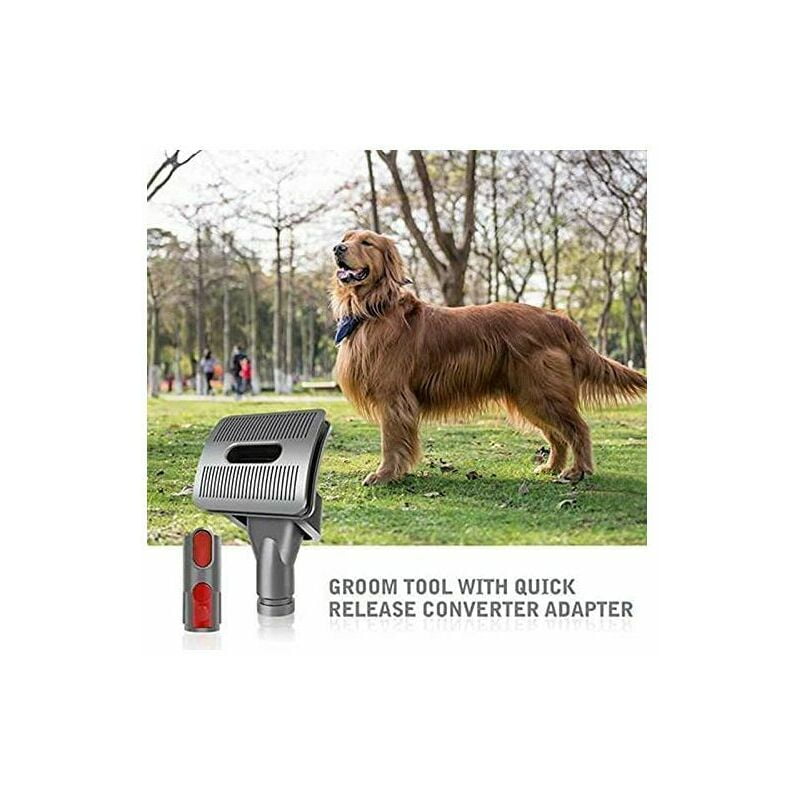 Dyson groom v10 hot sale