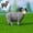 B, variant on Desk Decor,Miniature Sheep Figures Made Of Resin Decorative Sheep For Home And Robust And Animal Figures For Decoration Ideas