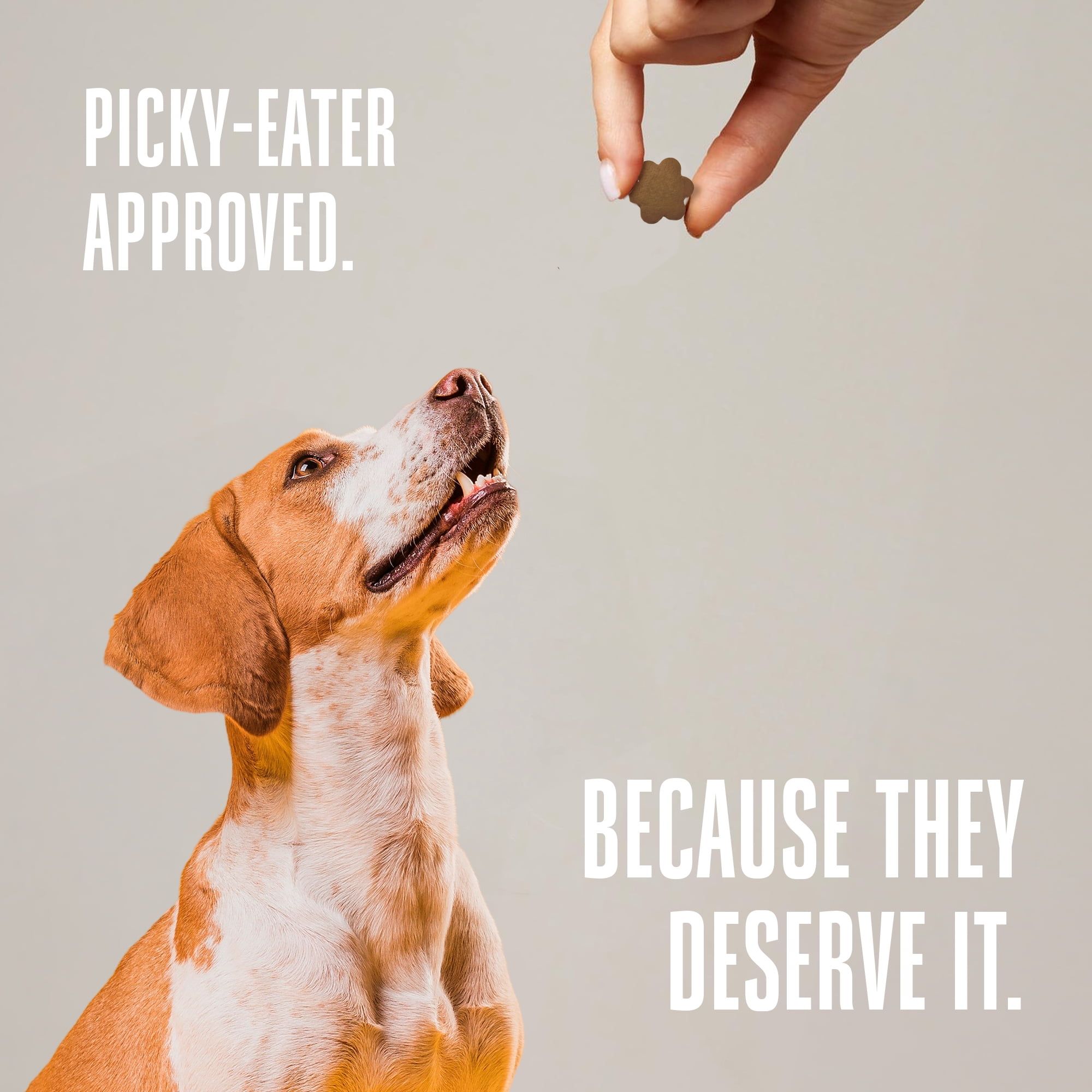 Whole Life Pet Living Treats – Peanut Butter and Yogurt Recipe Probiotic Treats For Dogs, 3oz