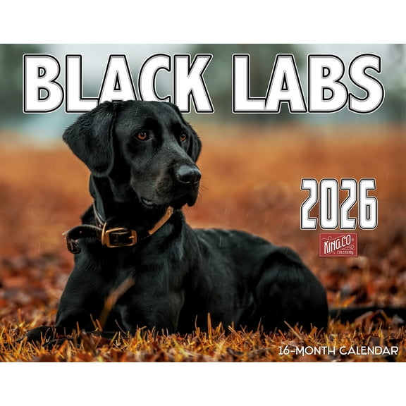2026 Black Labrador Dog Wall Calendar 16-Month X-Large Size 14x22, Lab Calendar by The KING Company-Monster Calendars