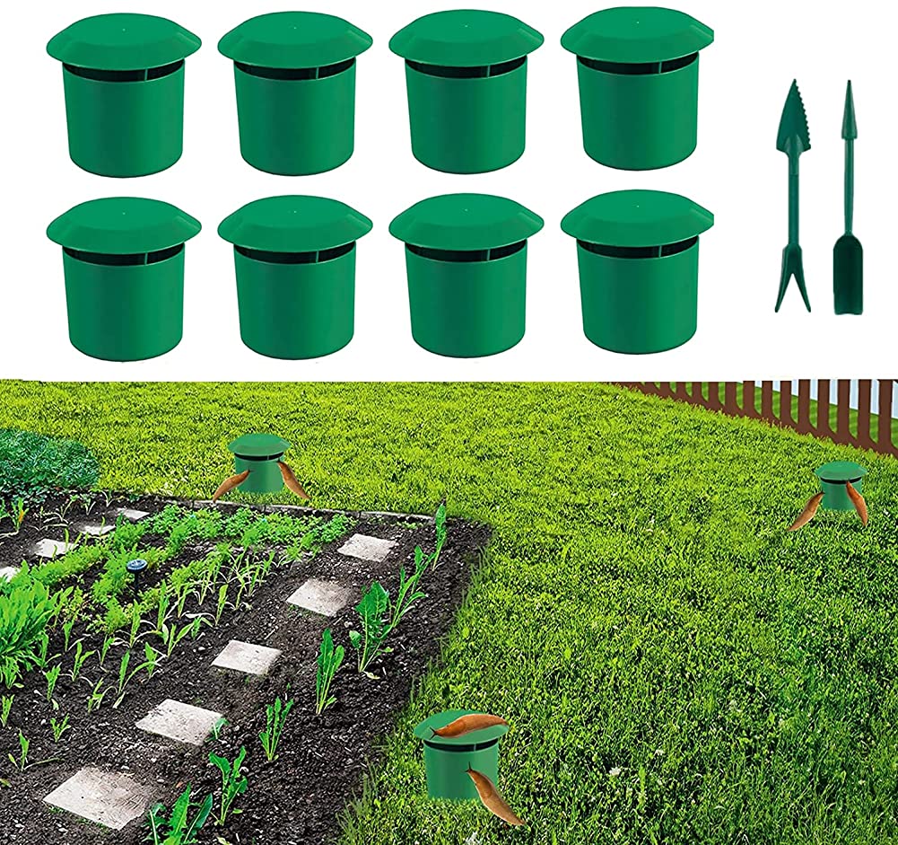Snail Slug Traps, Poison Free Slug and Snail Trap, Chemical Free Beer