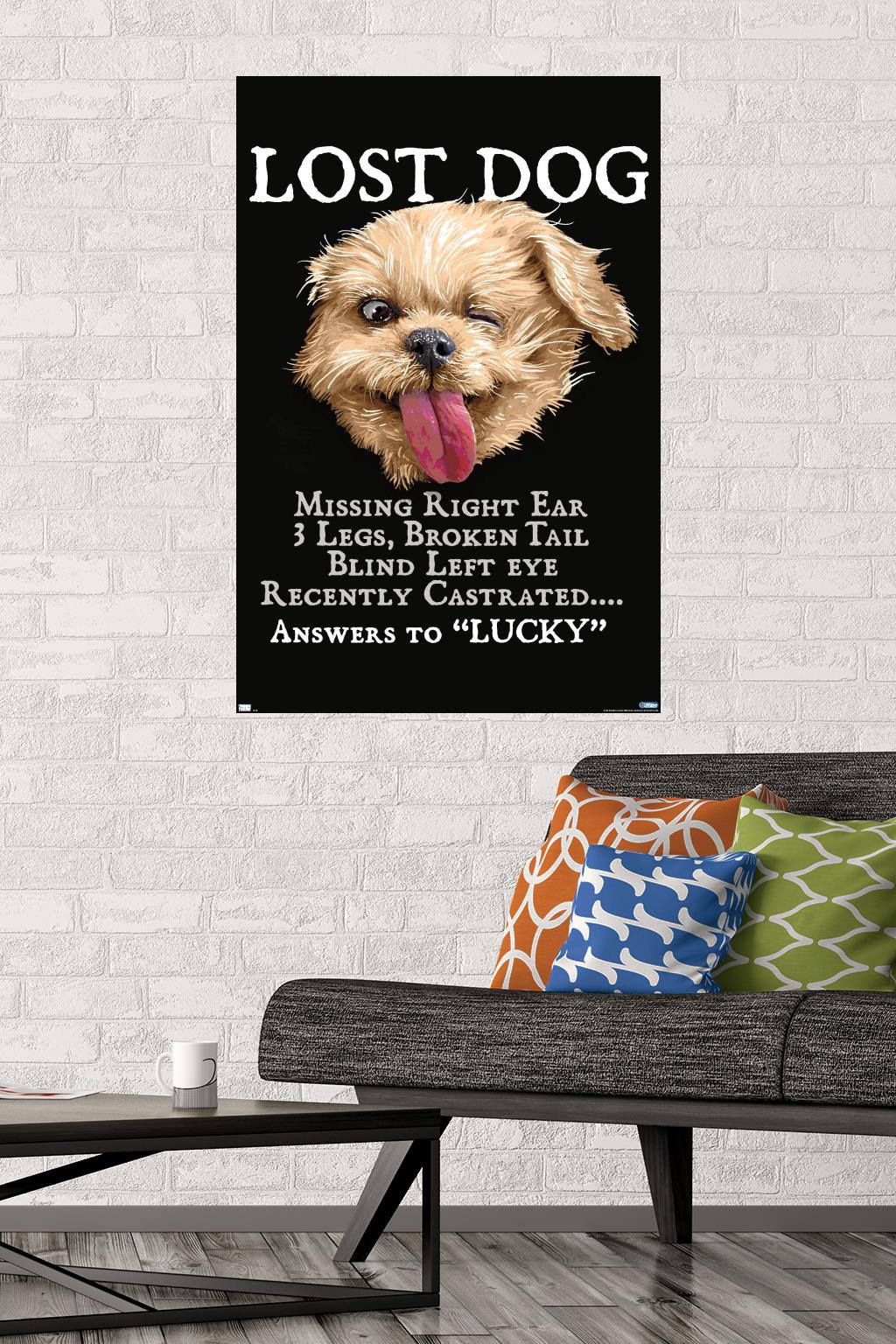 Jim Baldwin - Lost Dog Wall Poster, 22.375" x 34"