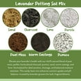 thumbnail image 5 of Lavender Potting Soil Mix (8 Quarts), Indoor / Outdoor Container Gardening Blend for Lavender Herb Plants, 5 of 10