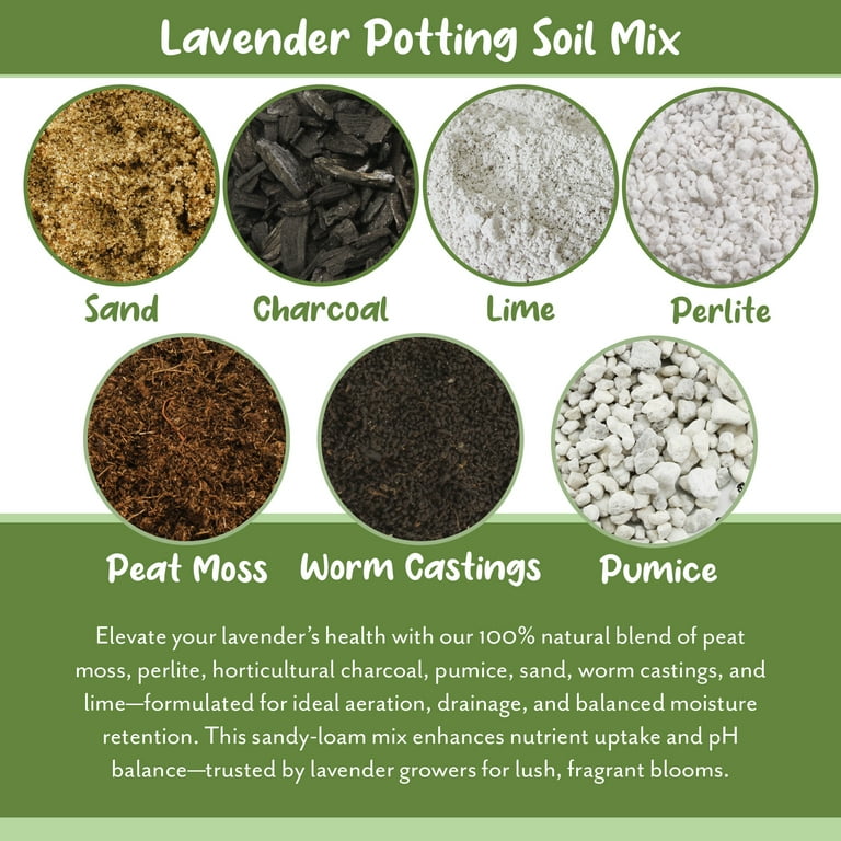 Lavender Potting Soil Mix, Indoor / Outdoor Container Gardening Blend for Lavender Herb Plants 8 Quarts