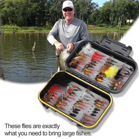 Dilwe 72pcs Multi-color Fly Fishing Lure Handmade Flies Fishing Tackle Fly Box, Fly Lure, Fishing (Best Flies For Steelhead Fishing)