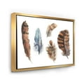 thumbnail image 3 of Designart 'Ethnic Boho Feathers In Earth Tones On White' Bohemian & Eclectic Framed Canvas Wall Art Print, 3 of 5