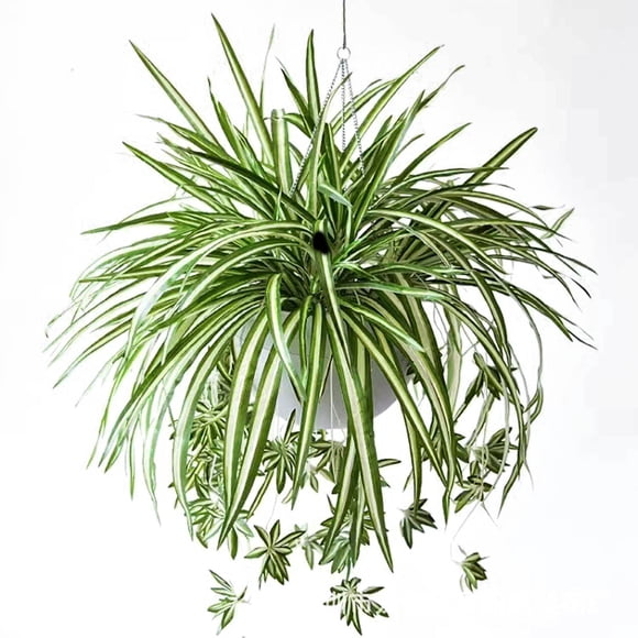 Pcksrro Home Decorationss Items Deal!1pc Artificial Spider Plant 23.6inch Artificial Chlorophytum Comosum Silk Flower Large Hanging Artificial Plant Family Garden Office Decoration