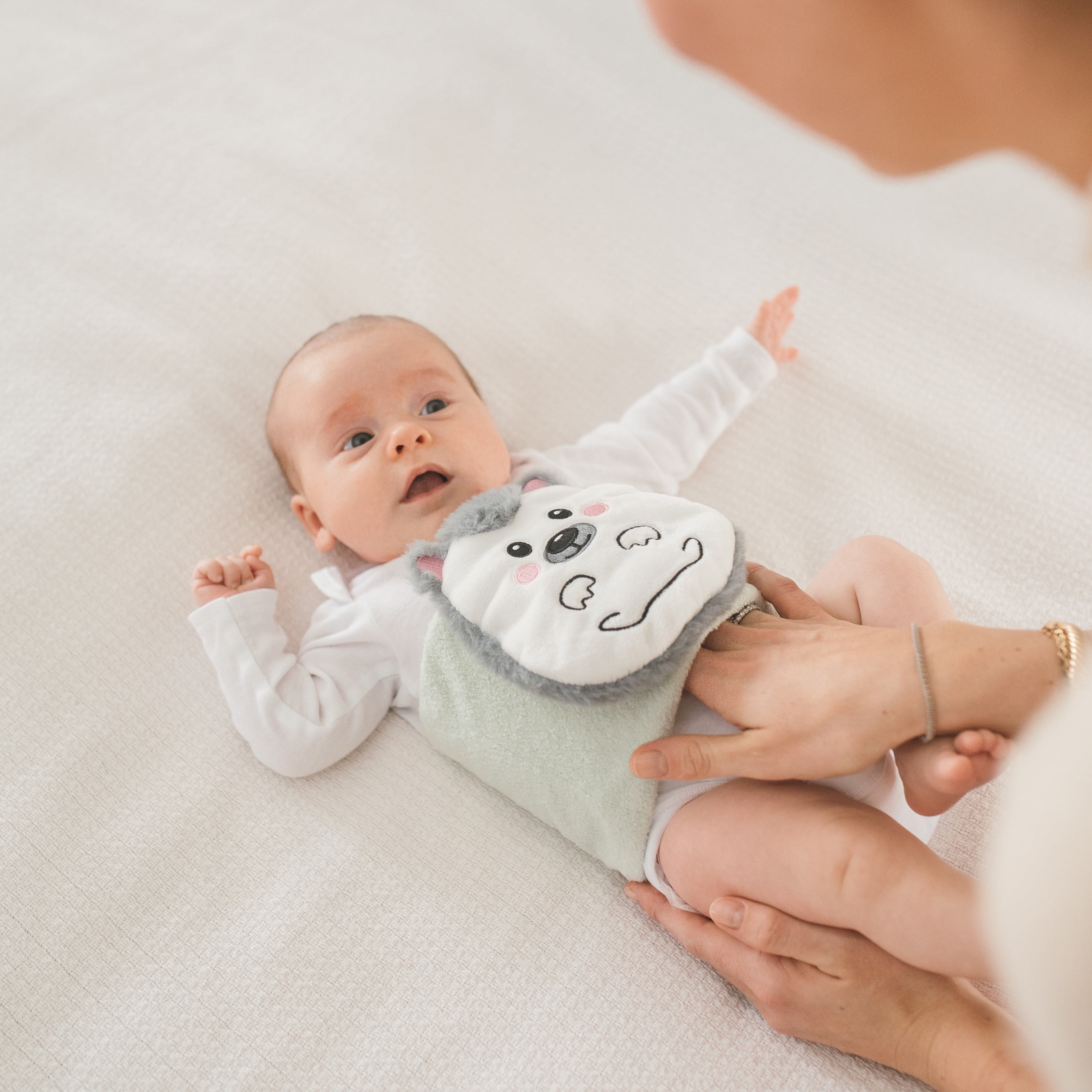 Dr. Brown's Infant Gripebelt Heated Belly Band, Gentle Warmth / Compression, Hedgehog, 1-Pack