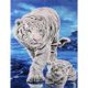 thumbnail image 1 of Cuadros Decorativos Kit 5D imágenes de diamantes de imitación DIY Tigresa taladro redondo completo diamante pintura ilustraciones Likrtyny embutido en tela, 1 of 9
