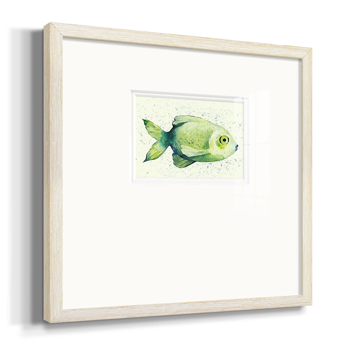 Speckled Freshwater Fish IIPremium Framed Print
