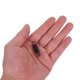 thumbnail image 5 of Phenofice 6Ud Accesorio Resorte Para De Puerta De Microondas Uso Universal, 5 of 8