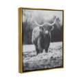 thumbnail image 3 of Stupell Grazing Cattle Farmhouse Photography Animals & Insects Photography Gold Floater Framed Art Print Wall Art, 3 of 6