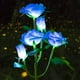 thumbnail image 3 of FloreceBien Luces solares de estaca para jardín, luces de flores de rosas, luces LED solares con 5 rosas, impermeables para jardín, patio, decoración navideña, 3 of 8