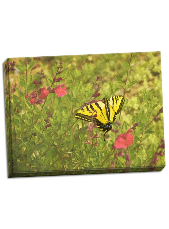Gango Home Decor Butterfly & Flowers by George Johnson (Ready to Hang); One 24x18in Hand-Stretched Canvas