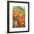 thumbnail image 1 of Clivia, Framed Art Print Wall Art by Graeme Stevenson Sold by Art.Com, 1 of 1