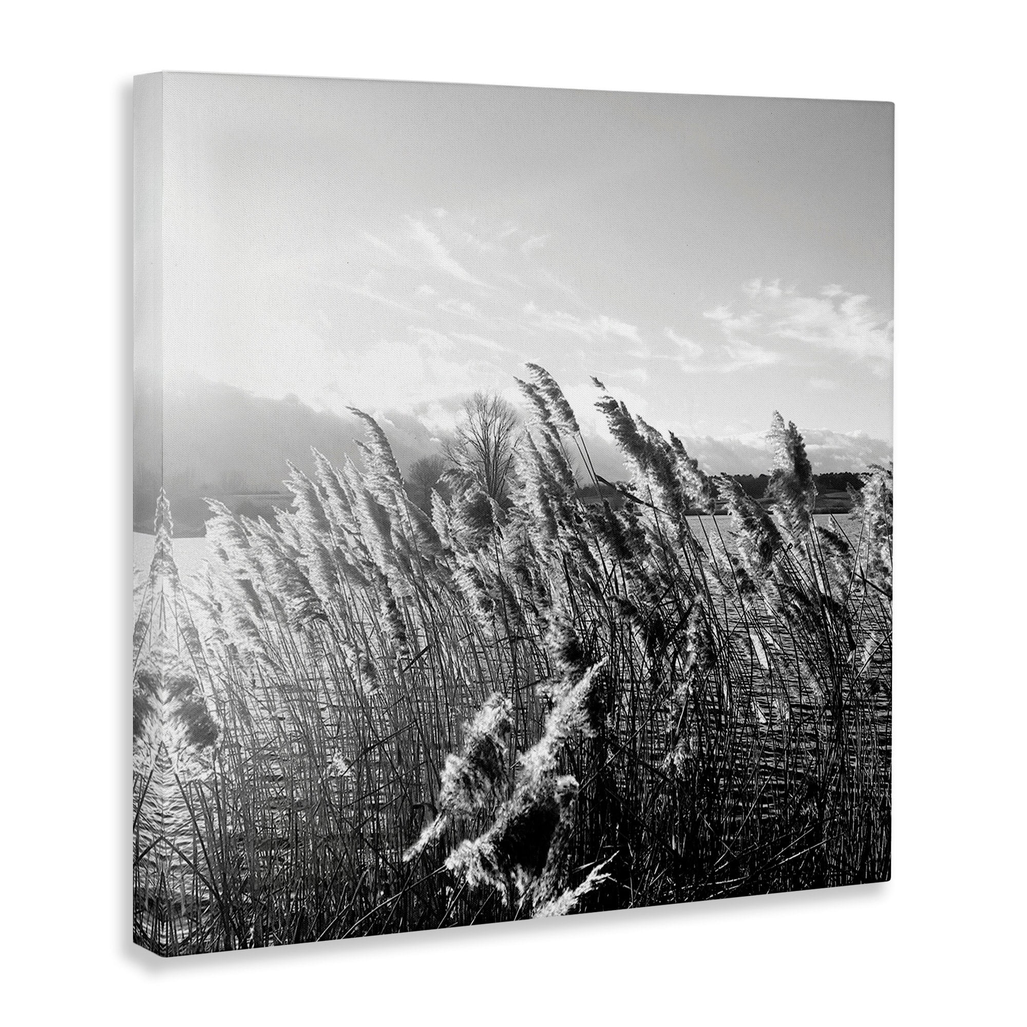 Stupell Indtries Tall Grass Lake Water Landscape Black White Photography,17 x 17,Design by Sarah Jane