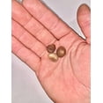 thumbnail image 6 of Loquat Fruit Tree Seeds for Planting, 3 Seeds Per Packet Non GMO & Heirloom Seeds, Botanical Name Eriobotrya Japonica, Great Gift, 6 of 8
