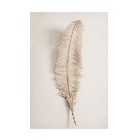Pictufy Studio III 'Feather 2' Canvas Art - 12 x 19 Inches