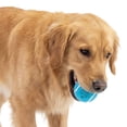 thumbnail image 2 of One Paw, Classic Tennis Ball for Dogs, Blue, Multiple Colors Available, 2 of 6