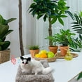 thumbnail image 4 of Sound Emitting Cat Companion for Car and Desktop Décor – Indoor Outdoor Toy for Kids 3 Plus Christmas Celebration, 4 of 7