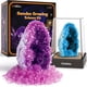 thumbnail image 1 of Kit científico GoBidex Geodes que crecen con cristales para niños de 6 a 12 años, 1 of 6