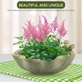 thumbnail image 4 of ROMANSENTIAL Cute Ceramic Planter Olive Green 1Pcs for Office, 4 of 8