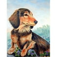 thumbnail image 1 of 11 x 15 Po Dachshund Chocolat et Bronzage Longue Taille de Drapeau de Jardin, 1 of 1