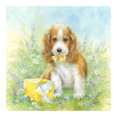 thumbnail image 2 of Cuadros Decorativos Cachorros gatos en el jardín 5D DIY Diamond Painting Kits Full Round Drill Art (B5686) Tmvgtek embutido en tela, 2 of 8