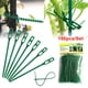 thumbnail image 1 of Lazos Para Árboles, Lazos Ajustables Para Plantas, Lazos Para Jardín, Lazos Flexibles Para Cables De Plantas Para Soportar Plantas De Arbustos De Rosas 100 Uds. Inevent HA034123-00, 1 of 6