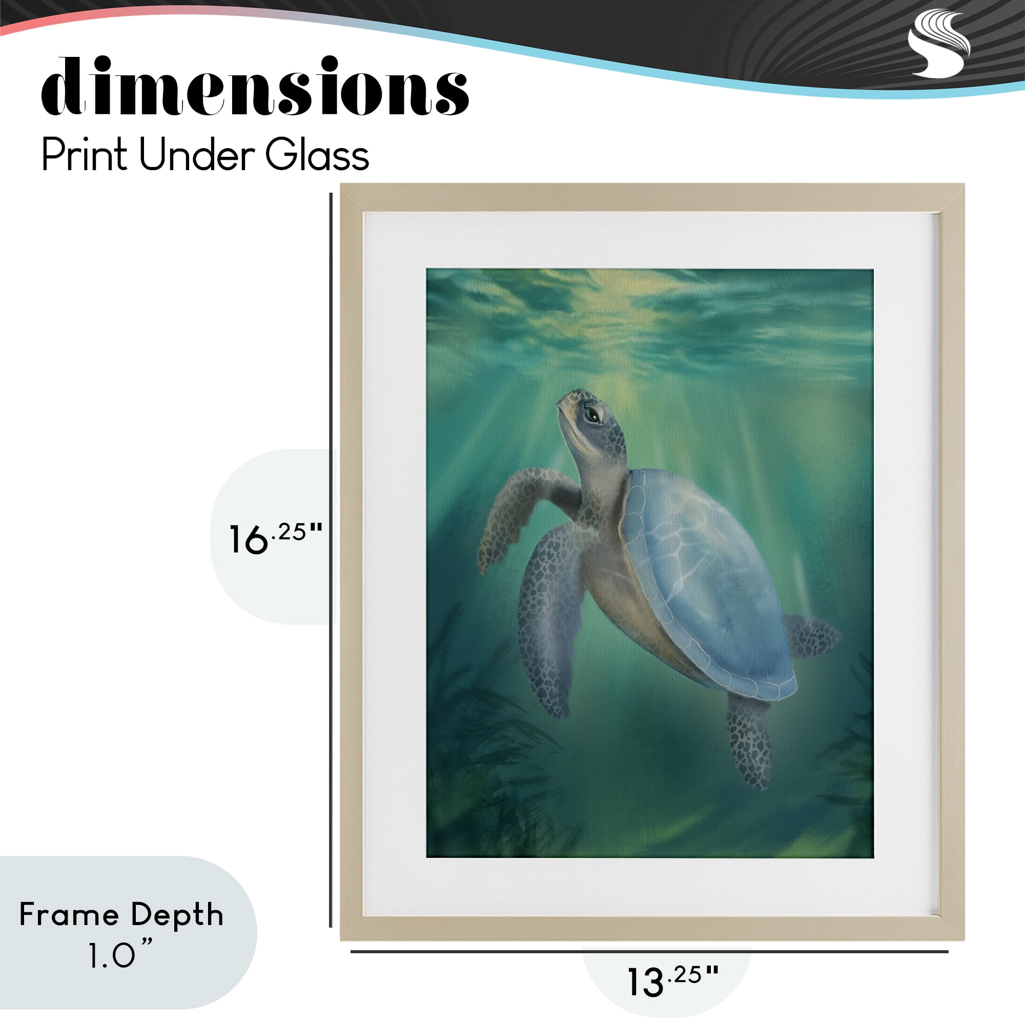Stupell Industries Coastal Beach Sea Turtle Birch Framed Print Under Glass, design by Matthew Piotrowicz