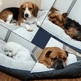 thumbnail image 5 of Large Dog Bed with Pillow for Crate Kennel, Sofa Dog Bed, Super Soft Pet Bed for Medium, Jumbo, Furniture (Large(39.37" L x 29.5" W x 8.27" Th)), 5 of 6