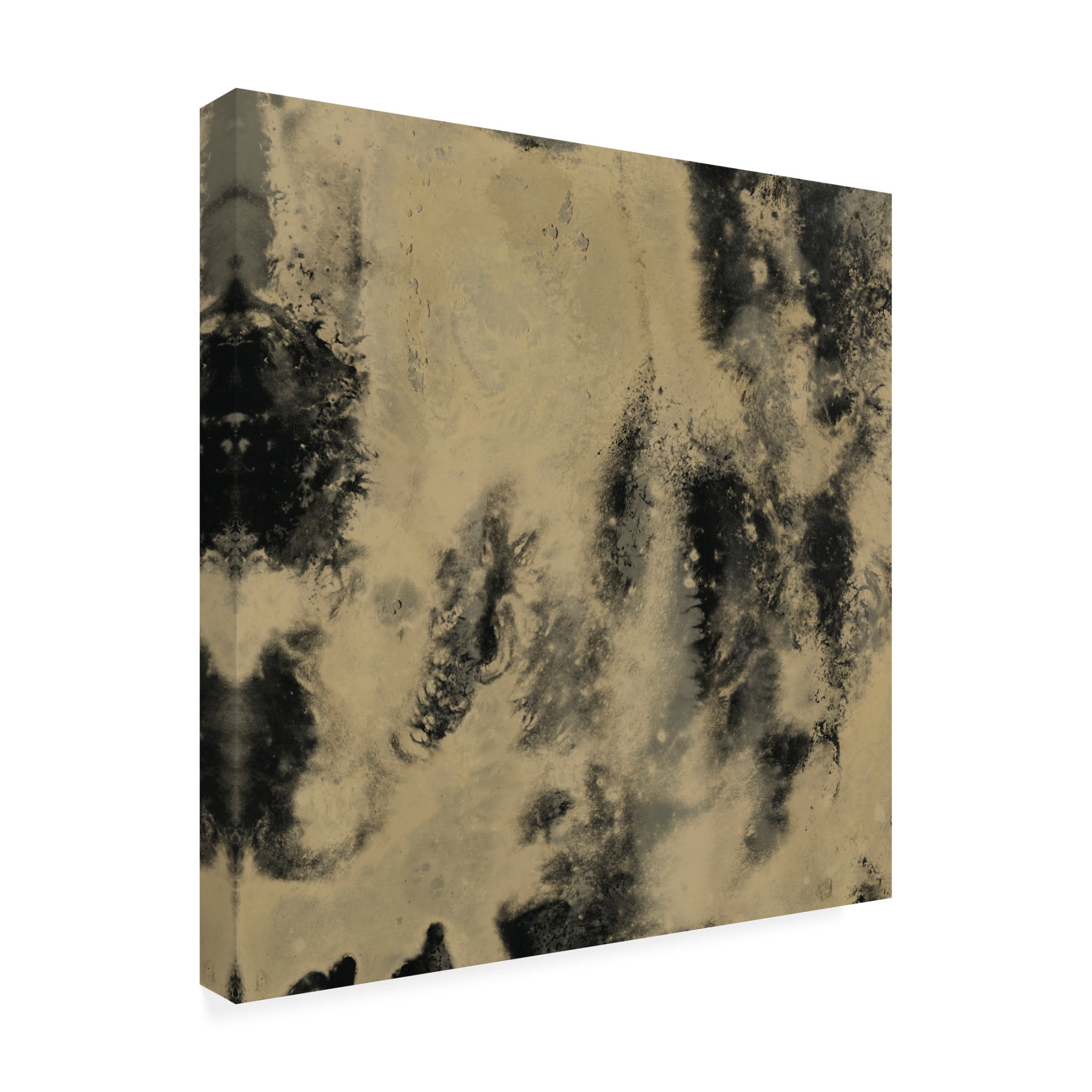 Trademark Fine Art June Erica Vess  Onyx Nebula IV Canvas Wall Art